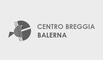 Centro Breggia Balerna